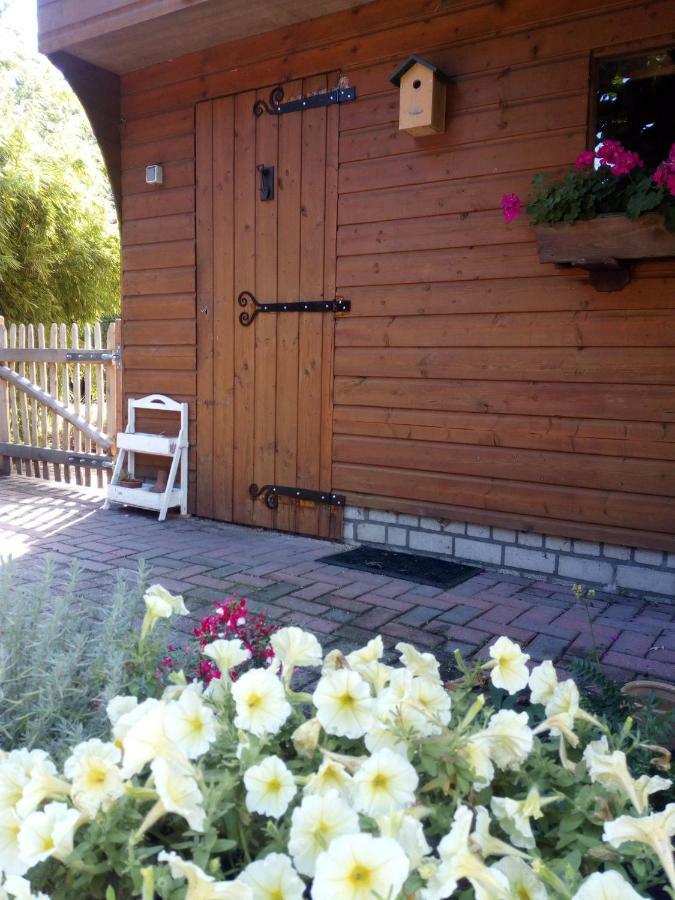 Woodstock B+B Vila Drouwenermond Exterior foto