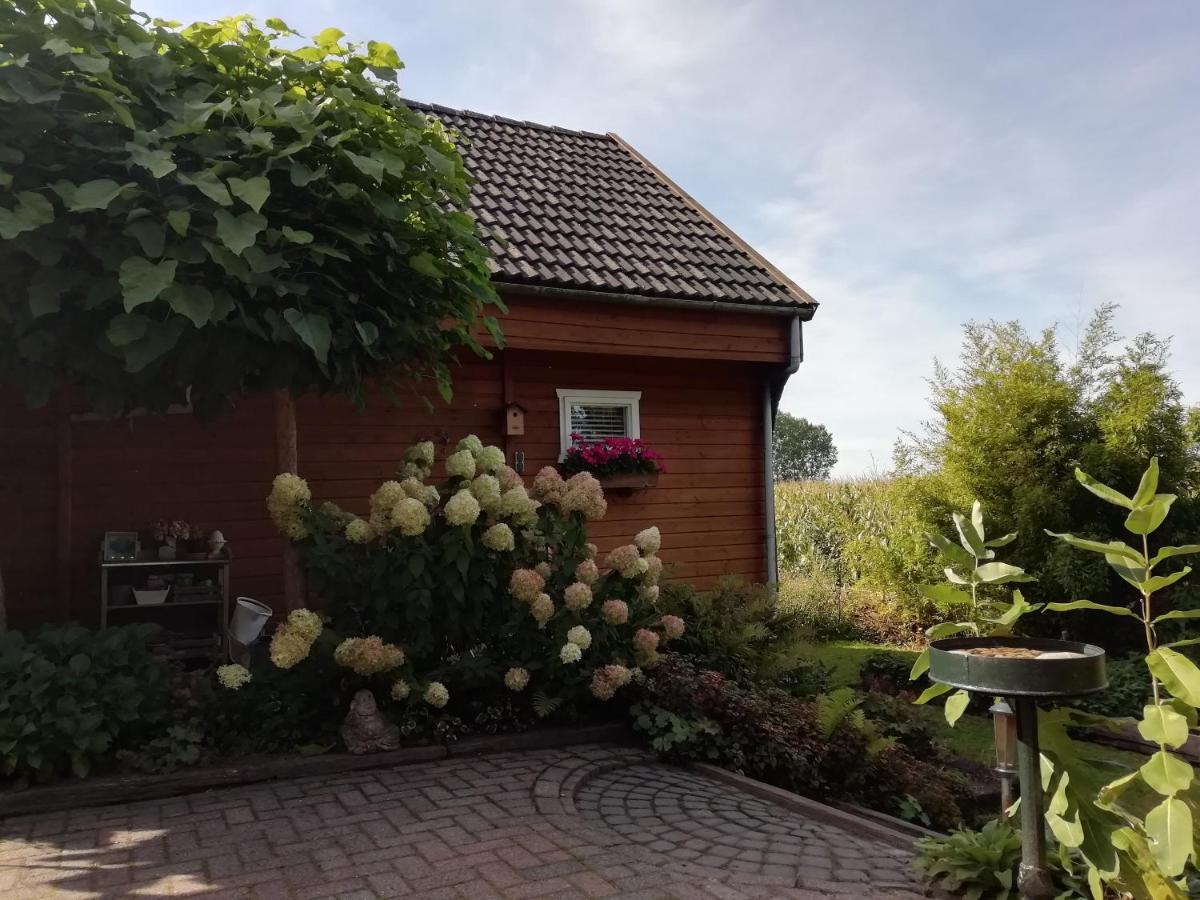 Woodstock B+B Vila Drouwenermond Exterior foto